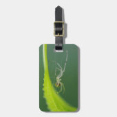 Spider Bagagelabel (Voorkant verticaal)