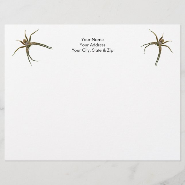 Spider Briefhoofd (Voorkant)
