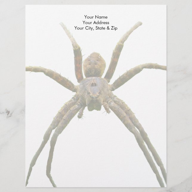 Spider Briefhoofd (Voorkant)