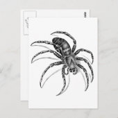 Spider Briefkaart (Voorkant / Achterkant)