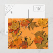 Spider Briefkaart (Voorkant / Achterkant)