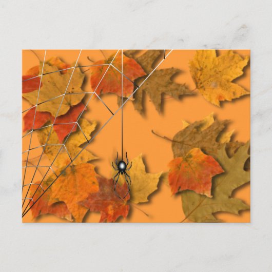 Spider Briefkaart (Voorkant)