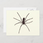 Spider Briefkaart (Voorkant / Achterkant)