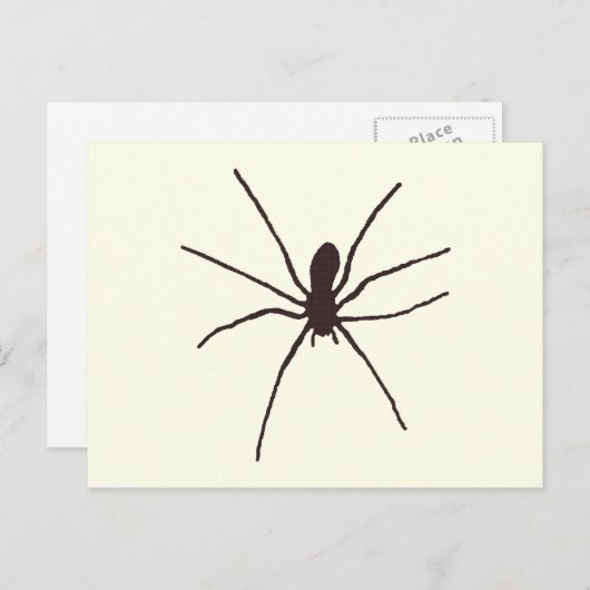 Spider Briefkaart (Voorkant / Achterkant)