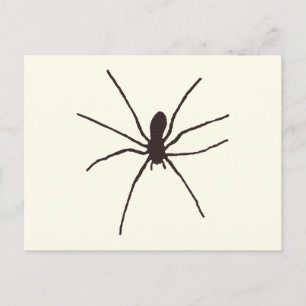Spider Briefkaart