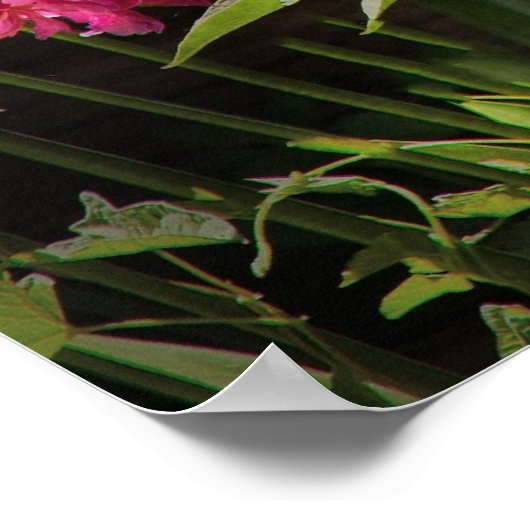 Spider - Charlottes Web Poster (Hoek)