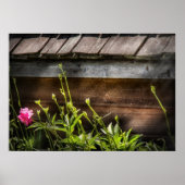 Spider - Charlottes Web Poster (Voorkant)