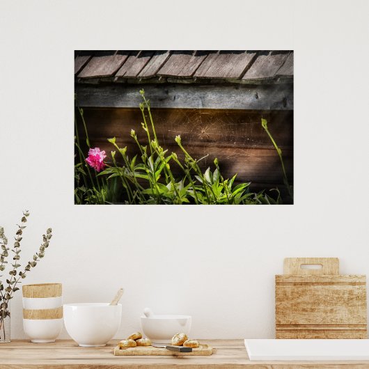 Spider - Charlottes Web Poster (Keuken)