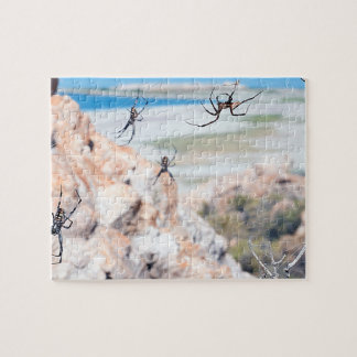 Spider City - Rondhangen Legpuzzel