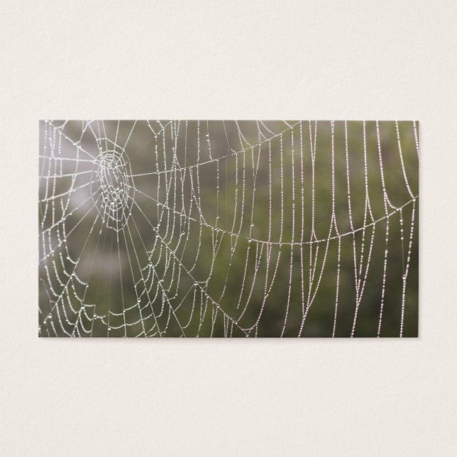 Spider Cobweb Visitekaartje (Voorkant)