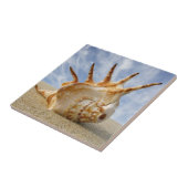 Spider Conch Seashell op een zandstrand Tegeltje (Zijkant)