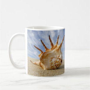Spider Conch Shell op de Mok Sandy Beach