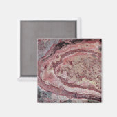 Spider Crater, Western Australië Magneet (Voorkant / Achterkant)