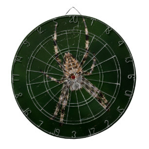 Spider Dartbord
