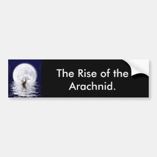 Spider Design Giften Bumpersticker