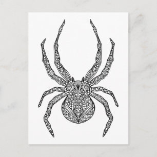 Spider Doodle Briefkaart
