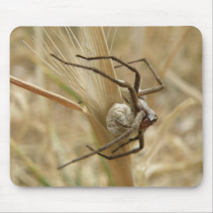 Spider en Egg Sac Mousepad Muismat