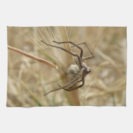 Spider en Eiwitkeukenhanddoeken Theedoek (Horizontaal)