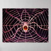 SPIDER en WEB Red Ruby Gemstone Black Poster (Voorkant)