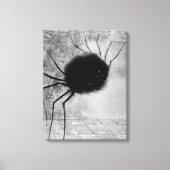 Spider glimlachen door Odilon Redon,  Halloween Canvas Afdruk (Voorkant)