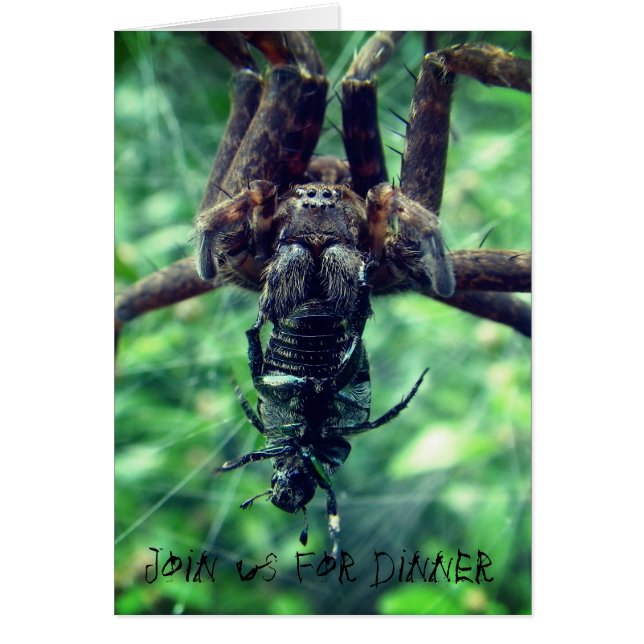 Spider Halloween-binnenuitnodiging (Voorkant)