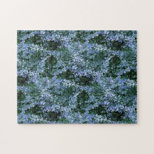 Spider Haven... Legpuzzel (Horizontaal)