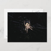 SPIDER IN DE DARK BRIEFKAART (Voorkant / Achterkant)