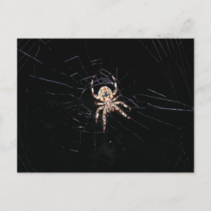 SPIDER IN DE DARK BRIEFKAART