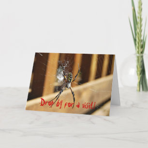 Spider in zijn web - kom langs voor een bezoek! kaart