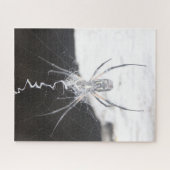 Spider Jigsaw Puzzle (Horizontal)