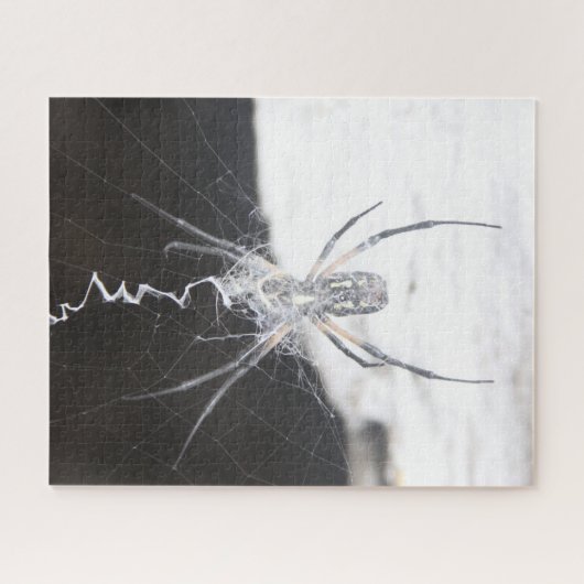 Spider Jigsaw Puzzle (Horizontal)