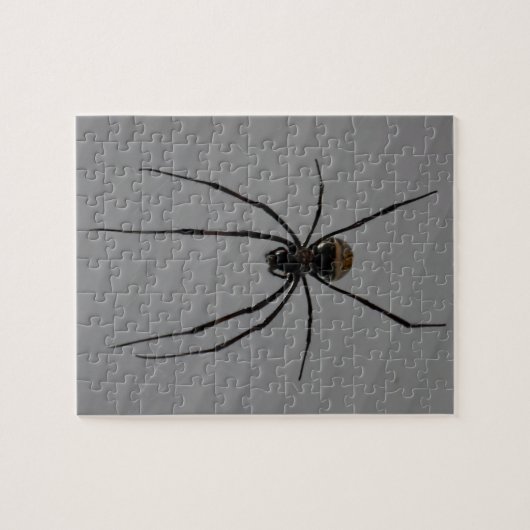 Spider Jigsaw Puzzle (Horizontal)
