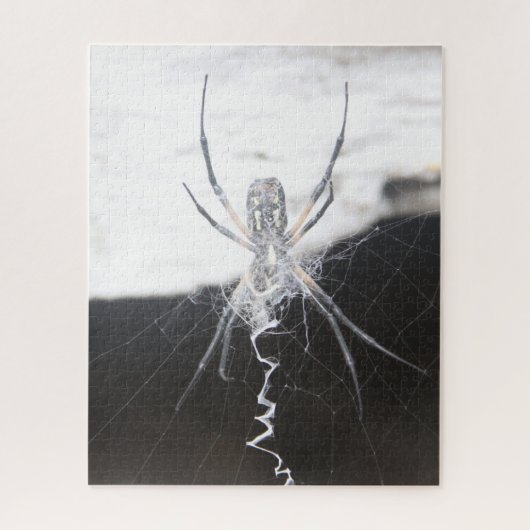 Spider Jigzaag Puzzle Legpuzzel (Verticaal)