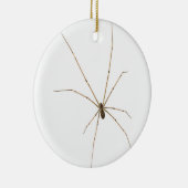 Spider Keramisch Ornament (Rechts)
