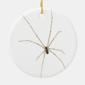 Spider Keramisch Ornament (Achterkant)