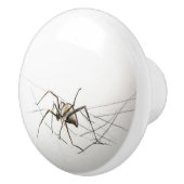 Spider Keramische Knop (Rechts)