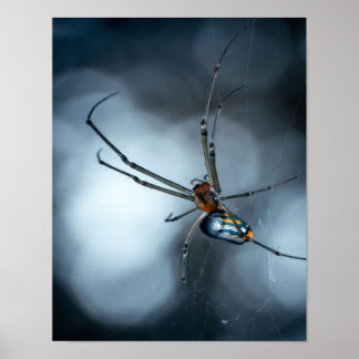 Spider Lovers | Schoonheidsspin met websites Poster
