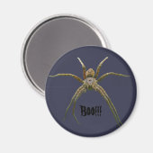 Spider Magneet (Voorkant / Achterkant)
