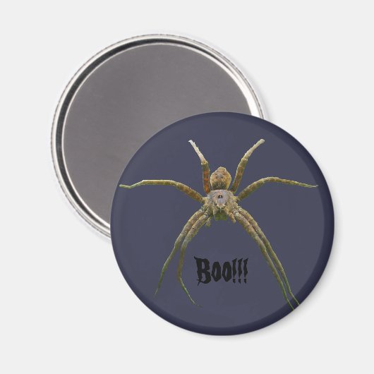 Spider Magneet (Voorkant / Achterkant)