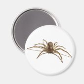Spider Magneet (Voorkant / Achterkant)