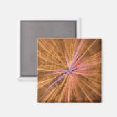 Spider Magneet (Voorkant / Achterkant)