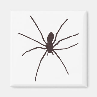 Spider Magneet