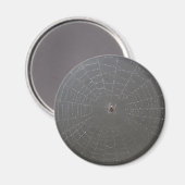 Spider Magnet Magneet (Voorkant / Achterkant)
