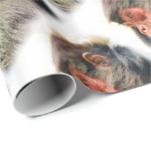 SPIDER MONKEY CADEAUPAPIER (Rol Hoek)