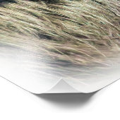 SPIDER MONKEY FOTO AFDRUK (Hoek)