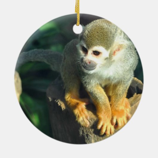 Spider Monkey Keramisch Ornament (Achterkant)