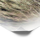 SPIDER MONKEY PERFECT POSTER (Hoek)