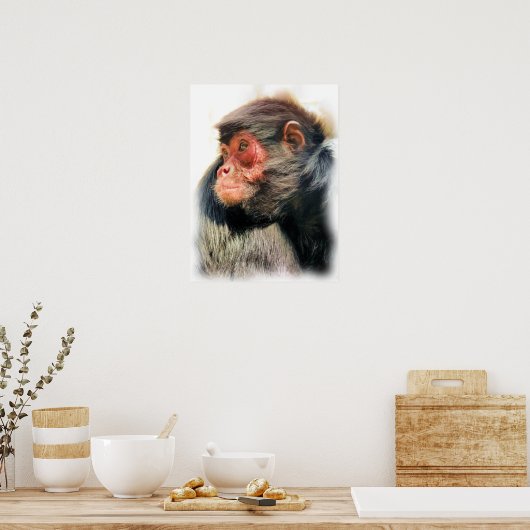 SPIDER MONKEY POSTER (Keuken)