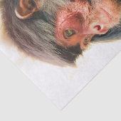 SPIDER MONKEY TISSUEPAPIER (Detail)