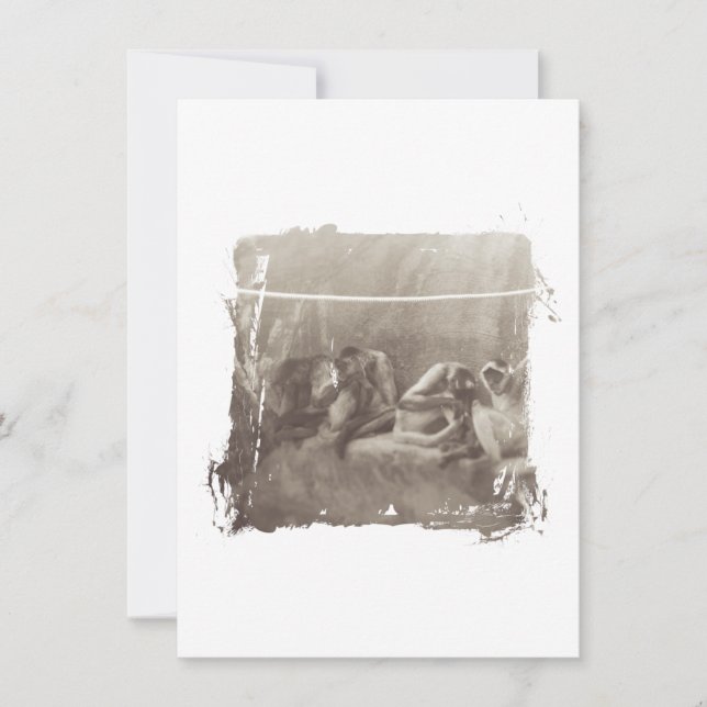 Spider Monkeys (Voorkant)